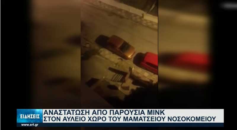 Κοζάνη: Γέμισε βιζόν ο αύλειος χώρος του Μαμάτσειου Νοσοκομείου