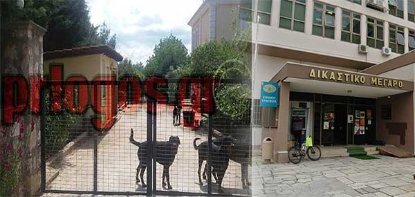 Με την ίδια σύνθεση θα συνεχιστεί η δίκη για τον 5χρονο Στάθη