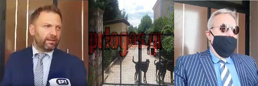Αλλαγή προέδρου ζήτησε ο ιδιοκτήτης των ροτβάιλερ- Διακόπηκε η δίκη για το χαμό του 5χρονου Στάθη