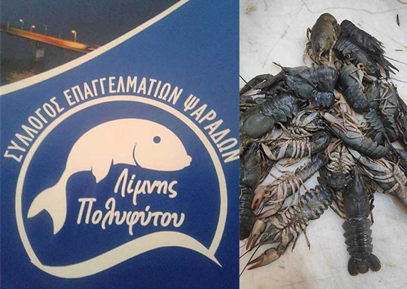 Ξεκινούν δειγματοληψίες στη λίμνη Πολυφύτου μετά τα μεγάλα ποσοστά θνησιμότητας της καραβίδας