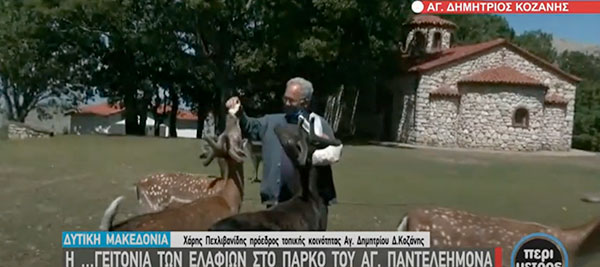 Η γειτονιά των ελαφιών στο πάρκο του Αγ. Παντελεήμονα