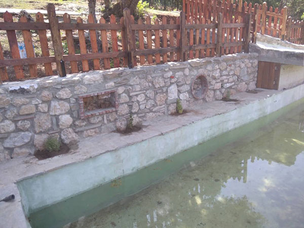 Συμβολική δράση από τον Σύλλογο Ανέργων Αγίου Δημητρίου – Ρυακίου