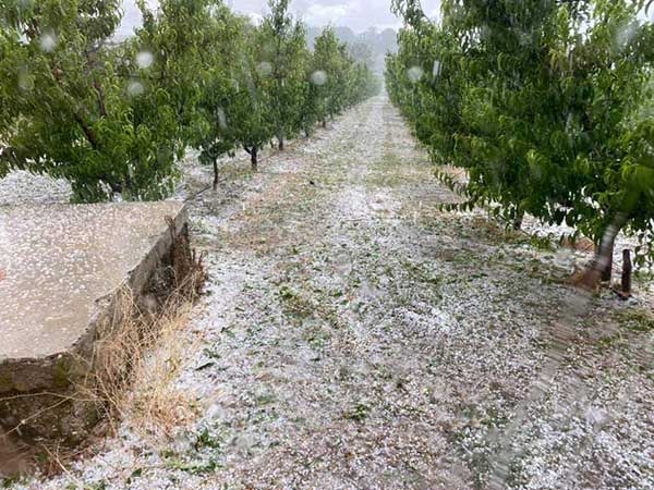 Μεγάλη χαλαζόπτωση στο Βελβεντό – Ζημιές στα ροδάκινα