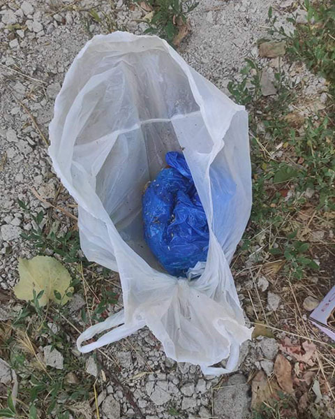 Φιλοζωικό Σωματείο Προστασίας Αδέσποτων Ζώων Πτολεμαϊδας “Οι Αδέσποτοι Ήρωες”: “Βρέθηκαν νεογέννητα κουτάβια πεταμένα μέσα σε κλειστεί σακούλα”