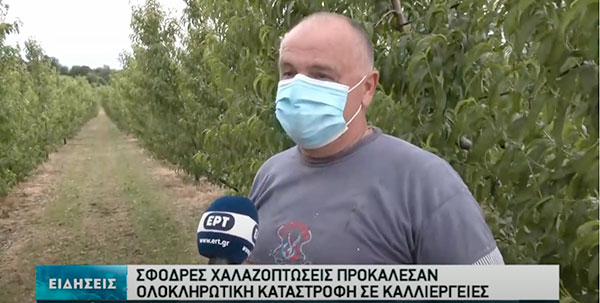 Το ρεπορτάζ της ΕΡΤ για τις ζημιές από τη χαλαζόπτωση στο Βελβεντό