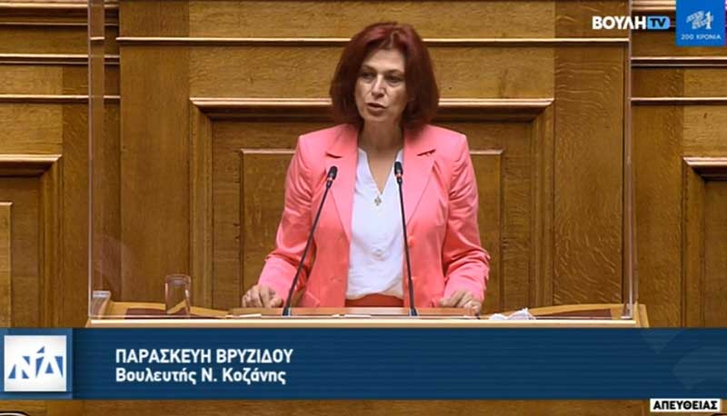 Ομιλία Π. Βρυζίδου: Στρατηγικές επενδύσεις και βελτίωση του επενδυτικού περιβάλλοντος μέσω της επιτάχυνσης διαδικασιών στις ιδιωτικές και στρατηγικές επενδύσεις