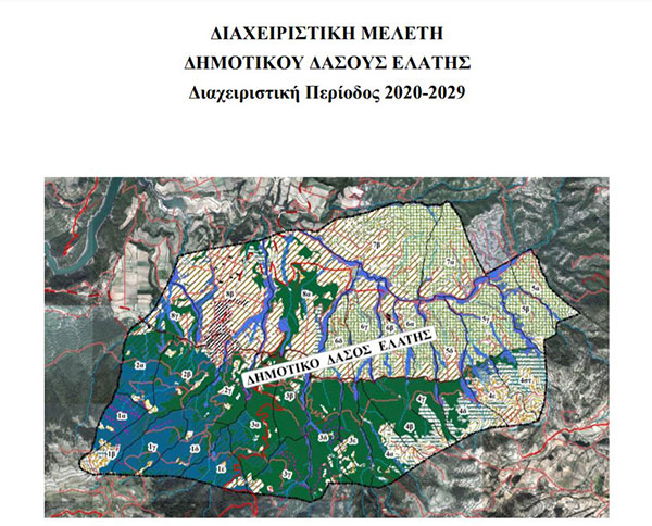 Χρήστος Ελευθερίου: Ο Δήμος Σερβίων πρωτοπόρος στην ορθή διαχείριση των δασών