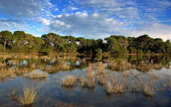 Ψηφιακό πιστοποιητικό για εκτάσεις σε Natura