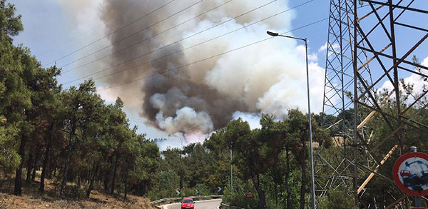 Συναγερμός για φωτιά στο Σέιχ Σου – Επιστρατεύονται εναέρια μέσα