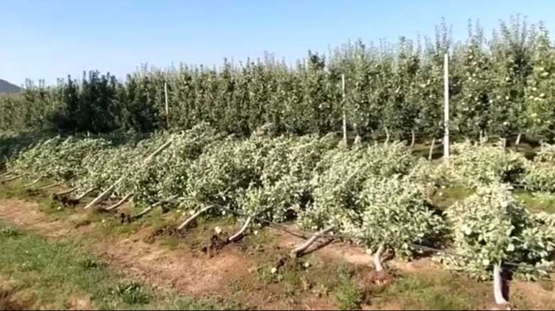 Καστοριά: Μετά την ανεμοθύελλα (video)