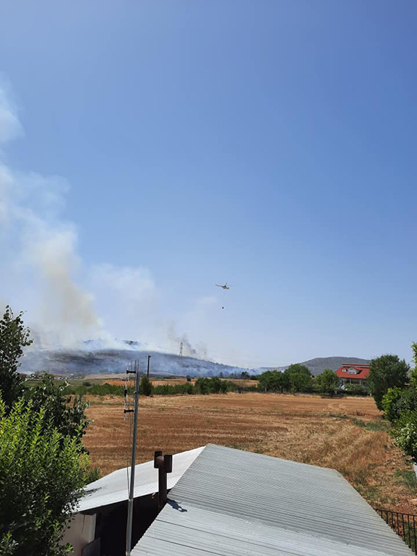 Ελικόπτερο επιχειρεί στην φωτιά της Οινόης – Σώθηκαν δύο κτηνοτροφικές μονάδες