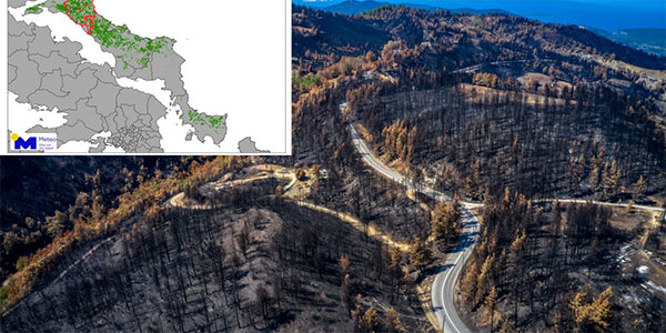 Αποκαρδιωτικό: To 1/3 των δασών της Εύβοιας κάηκαν από την πρόσφατη πυρκαγιά