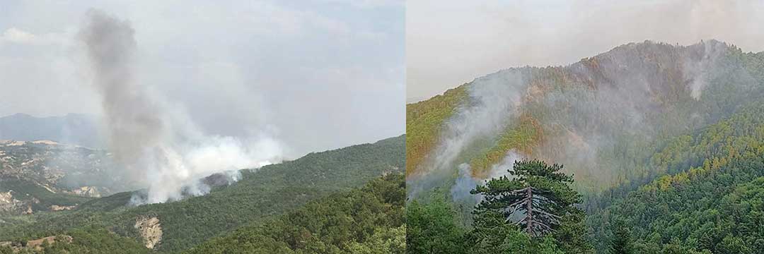 Καναντέρ και στη Ζωοδόχο Πηγή-Σε εξέλιξη οι εστίες σε Δίλοφο Βοίου και Φελλί Γρεβενών