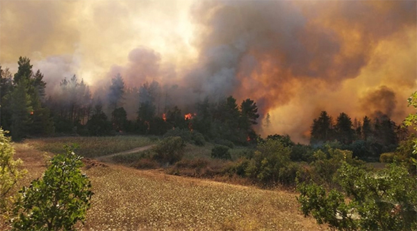 Φωτιά στη Γορτυνία: Αναζωπύρωση ανάμεσα σε Λιβαδάκι και Καστράκι – Εντολή εκκένωσης για το Καλλιάνι