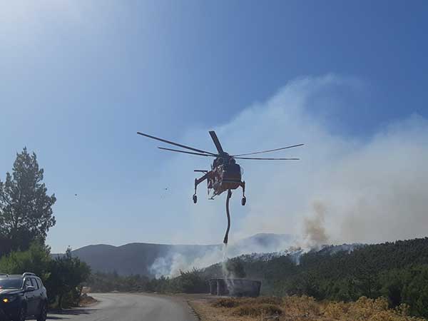 50 δασικές πυρκαγιές εκδηλώθηκαν το τελευταίο 24ώρο – Η αναλυτική ενημέρωση της Πυροσβεστικής