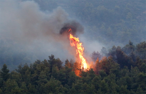Πυρκαγιά βρίσκεται σε εξέλιξη σε δασική περιοχή μεταξύ των Ευζώνων και της Ειδομένης – Απαγόρευση κίνησης των οχημάτων προς το σημείο