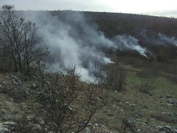 Πυρκαγιά στην περιοχή Αγίας Κυριακής – Ο καπνός έφτασε στη Σιάτιστα