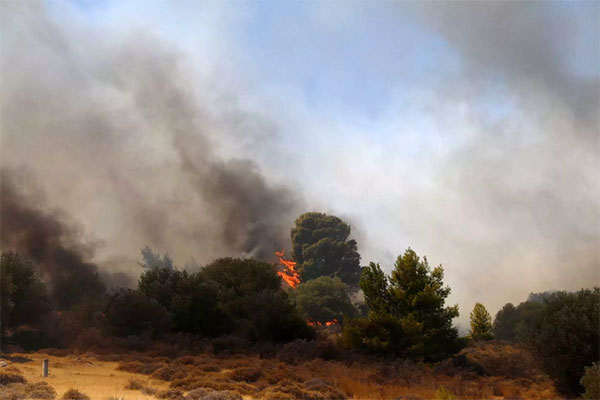 Φωτιά στα Βίλλια: Νέο μήνυμα από το 112 – «Εκκενώστε προς Μάνδρα»