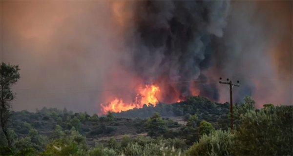 Θεσπρωτία: Πέρασε σε ελληνικό έδαφος η φωτιά από την Αλβανία
