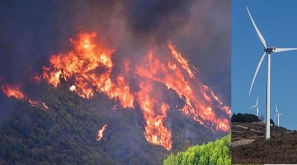 Ανεμογεννήτριες στα αναδασωτέα: Κανένα πρόβλημα σύμφωνα με το ΣτΕ!