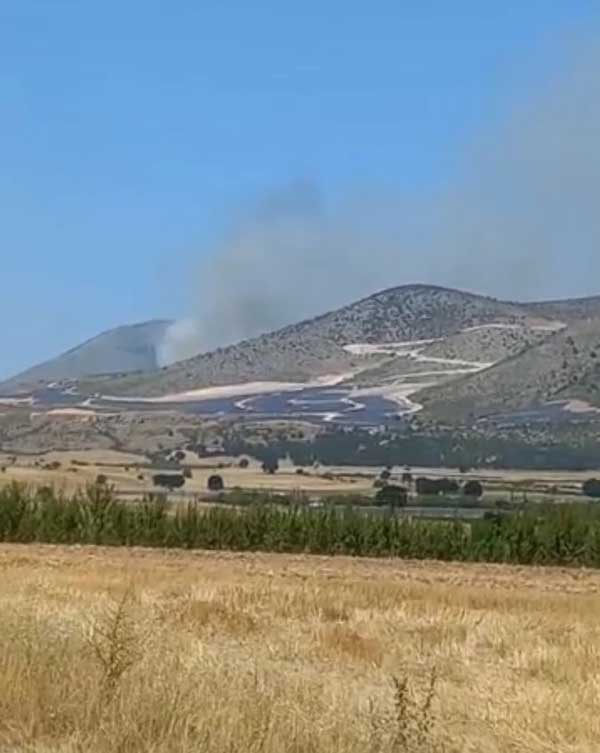 Νέα φωτιά σε δασική έκταση στην Οινόη