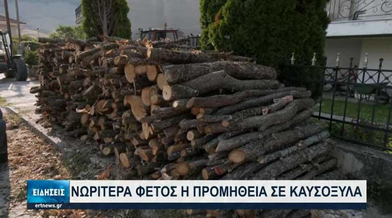 Προμηθεύονται καυσόξυλα εν μέσω Αυγούστου σε Φλώρινα και Αμύνταιο