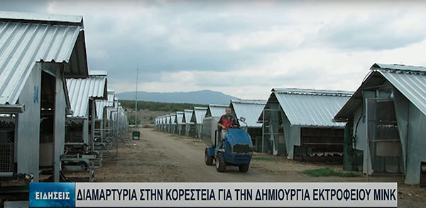 Αντιδρούν οι κάτοικοι της Κρανιώνας Καστοριάς στην εγκατάσταση εκτροφείων μινκ