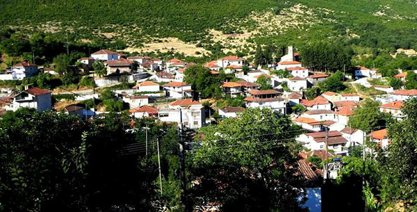 Χαρούλα Αραπουλίδου,Πρόεδρος ΤΣ, της Κοινότητας Μεταμόρφωσης: Περιορίστε ο καθένας τα ζώα για να μην έχουμε δυσάρεστα επεισόδια