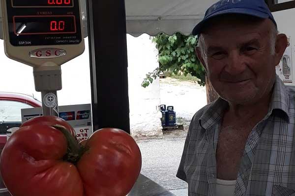 Ντομάτα γίγας στην Μηλίτσα Καστοριάς (Φώτο)