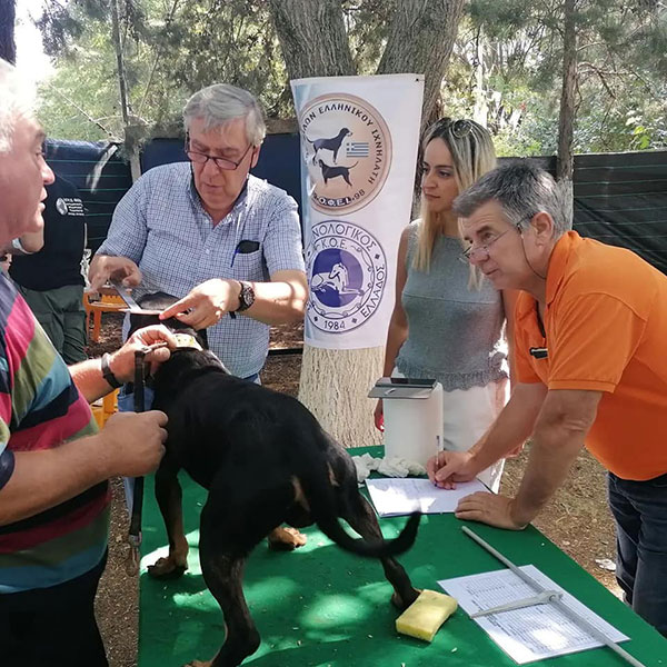 Εκδήλωση αναγνώρισης και ταυτοποίησης του Ελληνικού Ιχνηλάτη στην Πτολεμαΐδα
