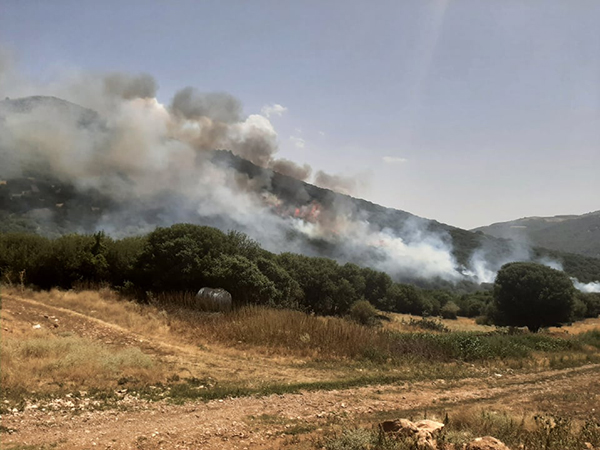Νέα φωτιά στα όρια Μεταξά-Σαραντάπορου- Λιβαδίου