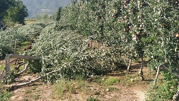 Σε καλλιέργειες που επλήγησαν από τα έντονα καιρικά φαινόμενα ο Αντιπεριφερειάρχης Καστοριάς