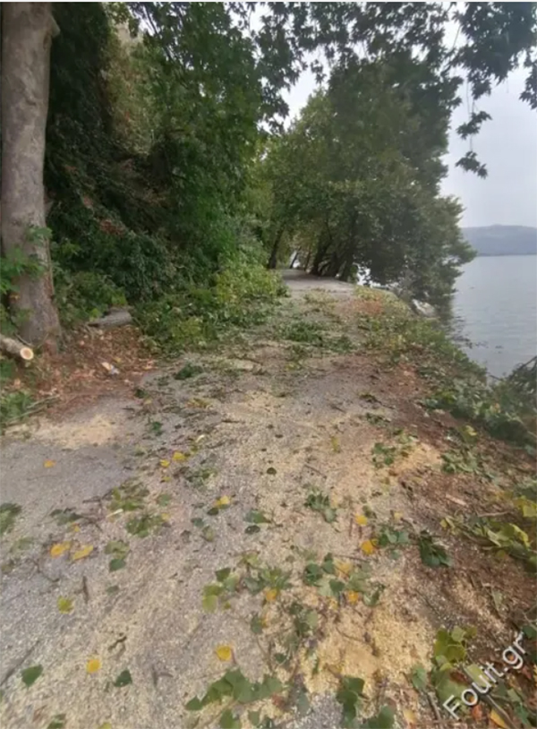 Έπεσε μεγάλο κλαδί στη γυρολιμνιά – Δεύτερο κλαδί στην Ορεστείων έπεσε πάνω σε αυτοκίνητο (φωτογραφίες)