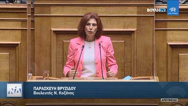 Ομιλία Π. Βρυζίδου για την Ασφαλιστική Μεταρρύθμιση για τη Νέα Γενιά
