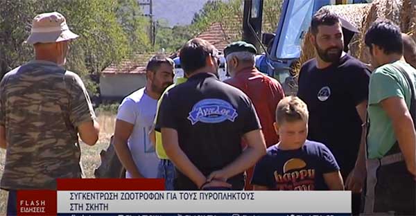 Συγκέντρωση ζωοτροφών στη Σκήτη για τους πυρόπληκτους της χώρας