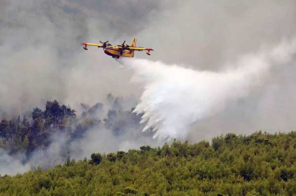Φωτιά στην Ηλεία: Καίγονται χωράφια στο Μαρκόπουλο Τραγανού – «Σηκώθηκαν» Canadair