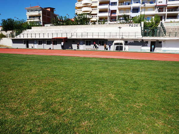 Δήμος Γρεβενών: Γυμναστική Ένωση και Δρομείς Υγείας καλλώπισαν το Δημοτικό Στάδιο «Μίλτος Τεντόγλου» για την Ευρωπαϊκή Εβδομάδα Κινητικότητας