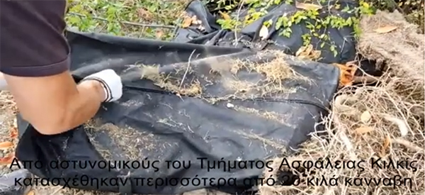Η “μύτη” της Minnie ξετρύπωσε πάνω από 20 κιλά κάνναβη που ήταν κρυμμένα σε δασώδη περιοχή του Κιλκίς