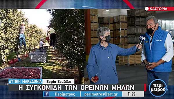 Τα ξεχωριστά μήλα της Καστοριάς σε ρεπορτάζ της ΕΡΤ