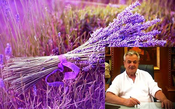 Π.Ε. Κοζάνης: Έρευνα αξιοποίησης αιθέριου ελαίου και ανθόνερου λεβάντας και ρίγανης
