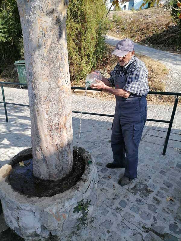 Ο πλάτανος της Σκ’ρκας- Του Φίλιππου Τόρτοκα