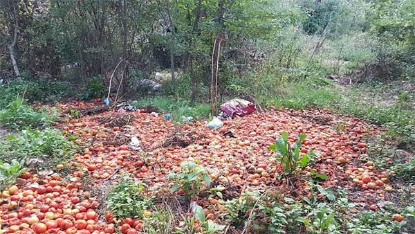 Πέταξαν σάπιες ντομάτες δίπλα στην λίμνη της Καστοριάς