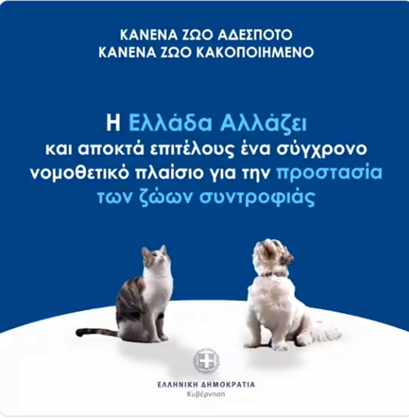 Ζώα συντροφιάς: Τι προβλέπει ο νέος νόμος για την προστασία τους και τις υποχρεώσεις των ιδιοκτητών