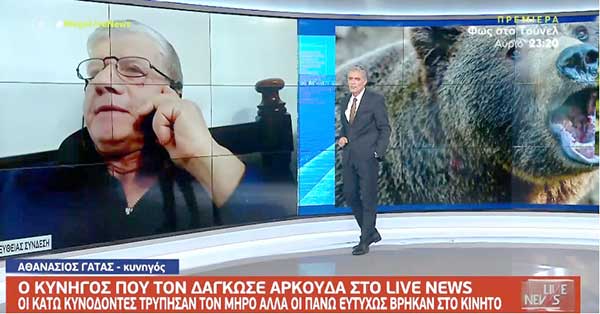 Κοζάνη: Επίθεση αρκούδας σε κυνηγό – Πώς τον έσωσε το κινητό του