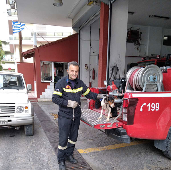 Κυνηγετικός Σύλλογος Κοζάνης: Παραλάβαμε την “κούκλα” που έπεσε σε πηγάδι και θα την φιλοξενήσουμε όσο χρειαστεί