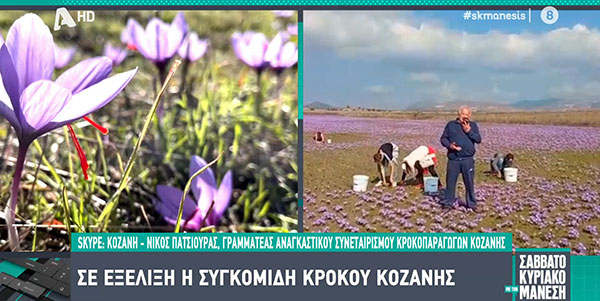 Κρόκος Κοζάνης: Ο “Κόκκινος θησαυρός”