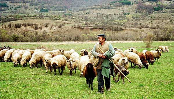 Πραγματοποιήθηκε και η τρίτη πληρωμή δικαιούχων του Μέτρου 22