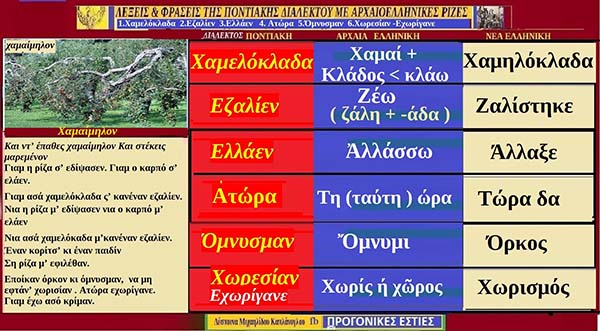 Ποντιακές λέξεις με αρχαιοελληνική προέλευση