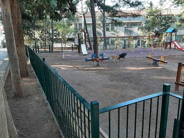 Αδέσποτα στην παιδική χαρά στο  αναψυκτήριο Αγίου Δημητρίου