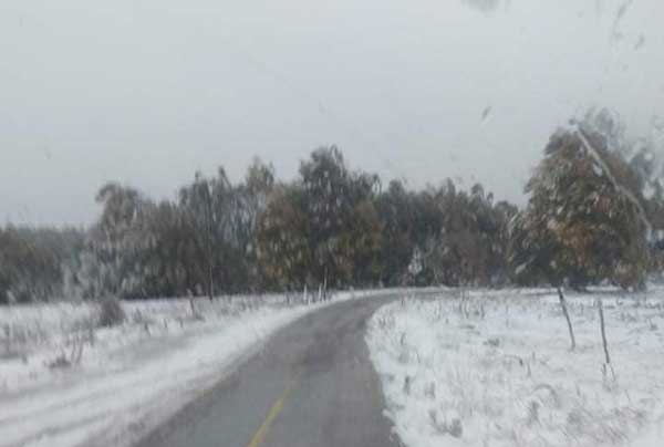 Βίτσι 15 Οκτωβρίου